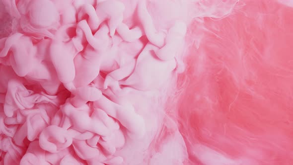 Pink Ink Cloud Mixed Water on Abstract Background