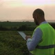 Agricultural Industry. A Male Farmer with a Digital Tablet in a Field at Sunset. Agronomist Uses - VideoHive Item for Sale