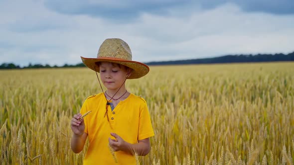 Cute kid among rural nature. Little Boy in straw hat and yellow t-shirt standing on agriculture fiel