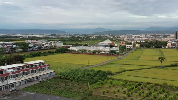 Sliding View Aerial Drone Footage of Urban Agriculture with Grid Farm Land and Rice Paddy Field and