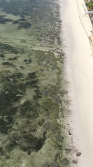 Vertical Video Boats in the Ocean Near the Coast of Zanzibar Tanzania