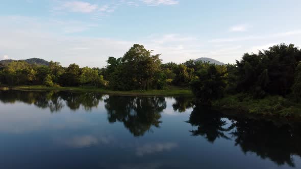 Aerial fly over reflection of tree