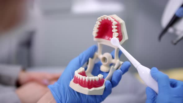 Close Up of Dentist Showing How to Brush Teeth