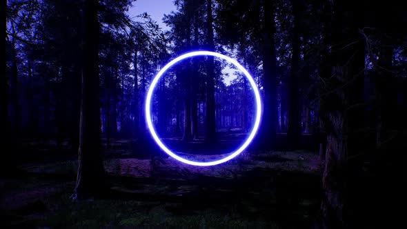 Glowing Blue Circle Light in Night Forest