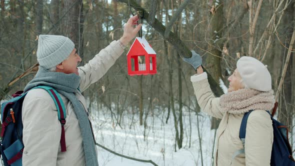 Senior Couple Hanging Bird House on Tree Branch and Talking Enjoying Walk in Winter Park