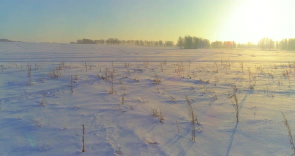 Aerial Drone View of Cold Winter Landscape with Arctic Field Trees Covered with Frost Snow and