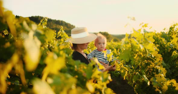 Young Beautiful Woman in Dress Having Good Time with Her Little Child in Summer Vineyard of Provence