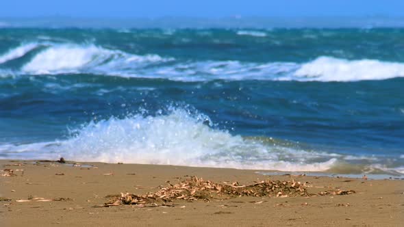 Blue Sea Waves on Sandy Beach, Coastline Nature, Pollution and Ecology Problem