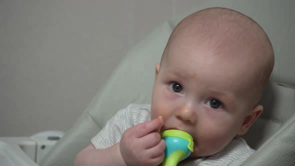 Infant Nibble Food on High Chair Nibbler for Kid Feeding