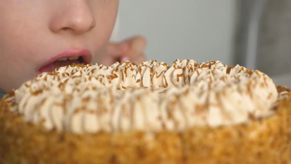 Portrait A Caucasian child tries a cream cake. A cheerful preschooler boy licks a cream from a cake.