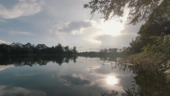 Wide Timelapse by the Lake Near Angkor Wat Close to Sunset