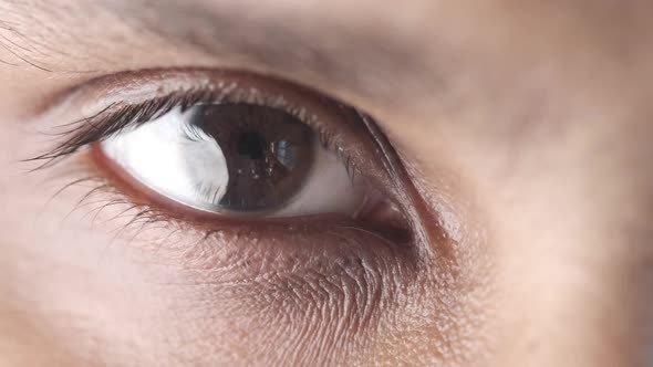 Detail Shot of Young Man Eye