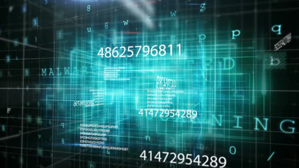 Digital code network rendering  alt