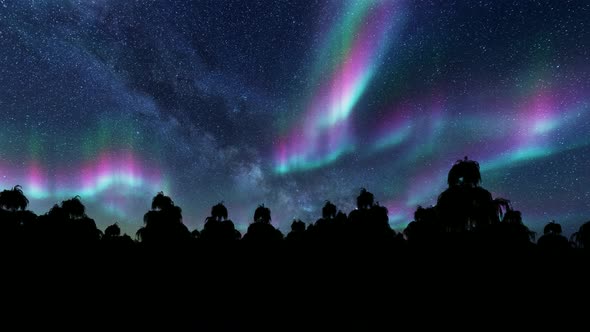 Northern Lights Spruce Landscape Night Stars Forest Scene.