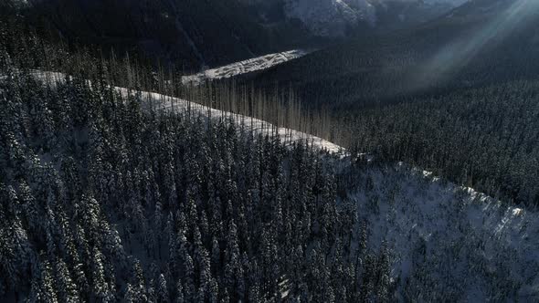 Aerial Of Snowy Mountain R Idge In Thick Forest Trees