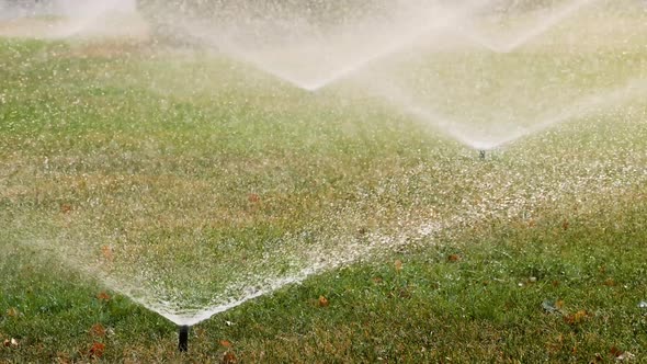 Garden Sprinklers Irrigate the Grass in the Park in Summer. Automatic Irrigation System