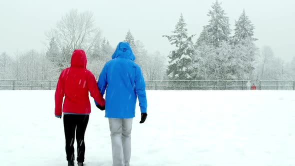 Couple walking hand in hand in snowy landscape