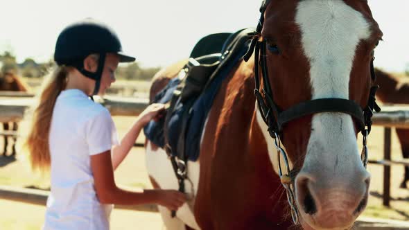 Girl tightening horse saddle for horseback riding 4k