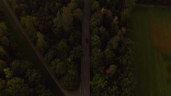 Rising up shot of a drone over a street in a forest, while a car is passing by and following the cam