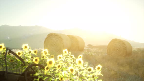 Hay Bales in the Sunset