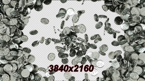 Silver Dollar Transition alt