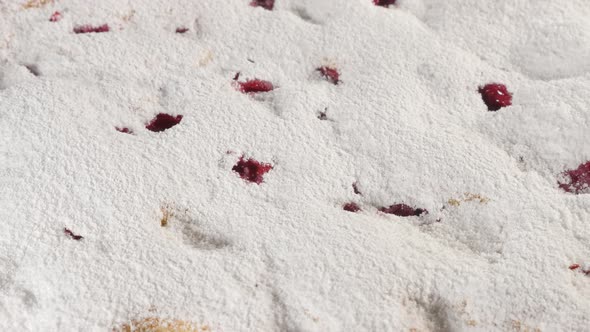 Tasty cherry cake powdered with sugar dust 4K 2160p UHD footage - Sour cherry spone cake close-up 4K