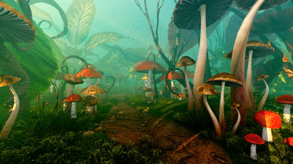 Fairy Forest With Mushrooms