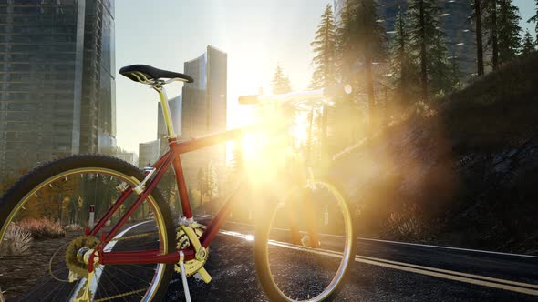 City Bicycle on the Road alt