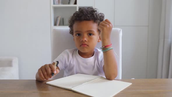 Cute Little African American Boy Enjoy Online Lesson in Zoom Looking at Camera