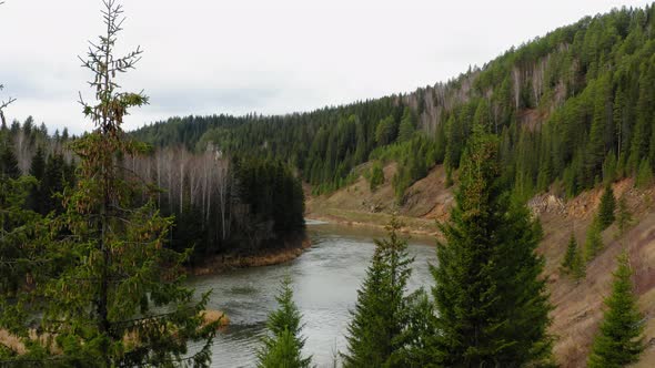 Aerial View of the River with Trees and Grass in Autumn