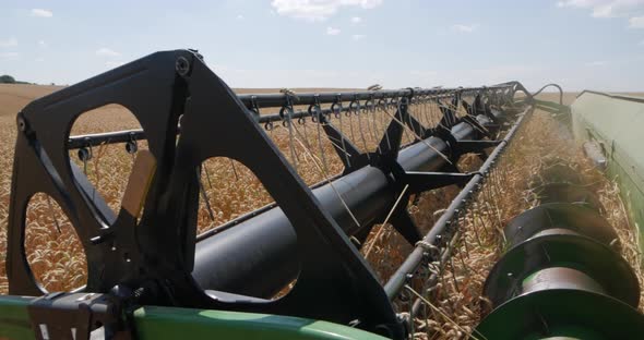 Combine Harvester Cuts Wheat Stalks. Reaper. To Harvest