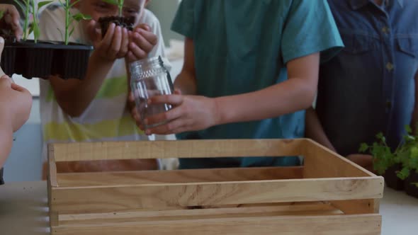 Two boys planting plants in the class