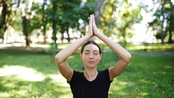 Athletic Young Woman Doing Yoga in the Park in the Morning