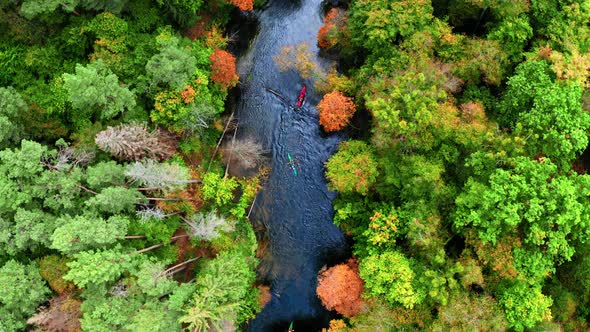 Top view of Kayaking on river in autumn forest