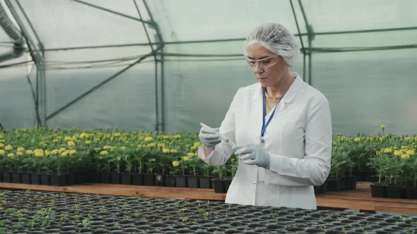 Agricultural Engineer with Test Tube Analyzing Plants