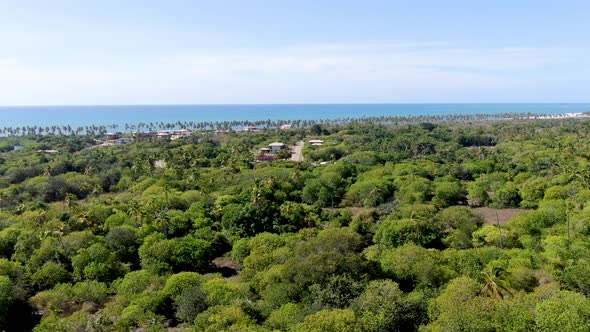 Aerial View of Tropical Ocean and Palm Trees Forest During Sunny Day. Praia Do Forte