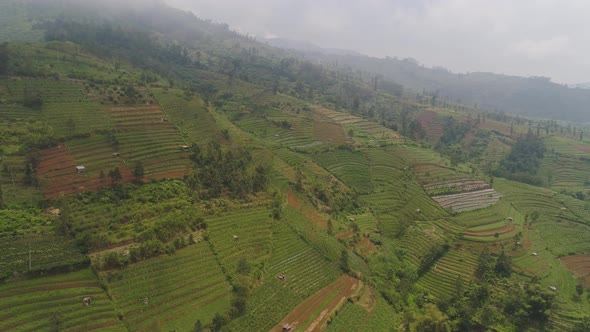 Tropical Landscape with Farmlands in Mountains