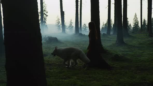 Dog and a girl walking in a forest