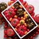 Assortment of Tomatoes in a Wooden Box - VideoHive Item for Sale