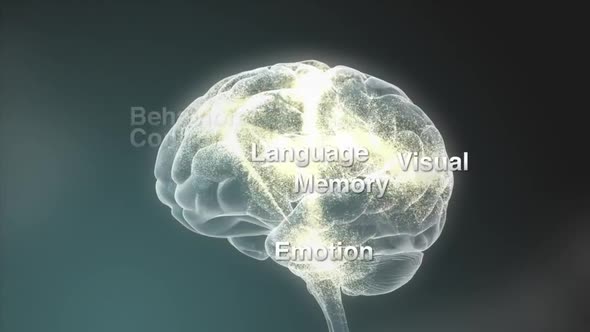 parts of the brain  medical animation