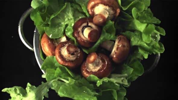 Super Slow Motion of the Colander with Mushrooms and Lettuce Falls on the Water with Splashes