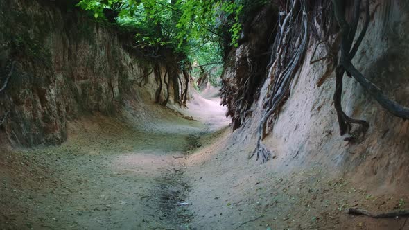 Loess Ravine in Kazimierz Dolny, Poland