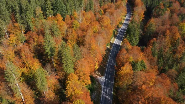 Flying Over The Empty Autumn Road