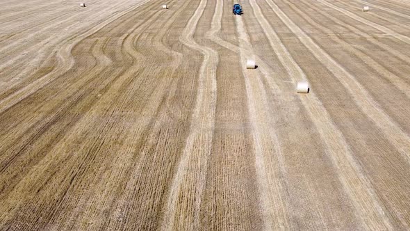 Round bales of straw on the wheat field after harvest, field haystacks landscape