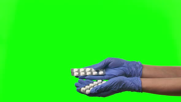 Female Hands in Protective Blue Gloves Closeup at Green Screen