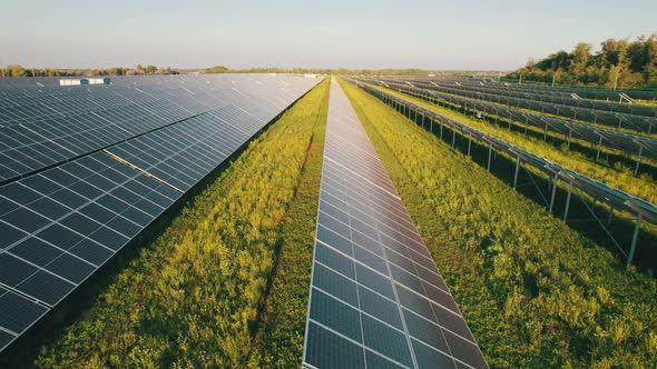 Aerial View Solar Power Station on Green Field at Sunset Solar Panels in Row