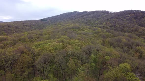 The mountains. River. Forest. Resorts of Russia. Goryachiy Klyuch.