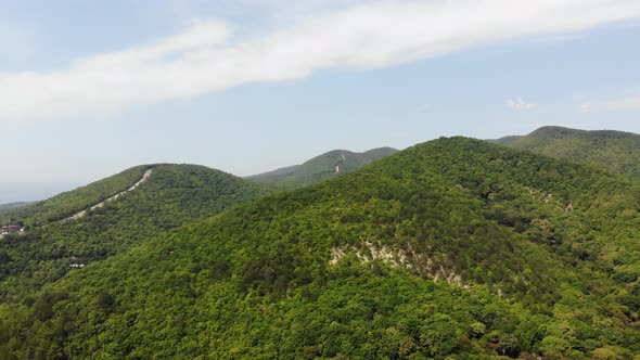 Aerial of flying over a beautiful green forest in a rural landscape.