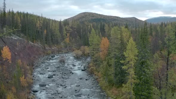 Mountain River in the Autumn Forest