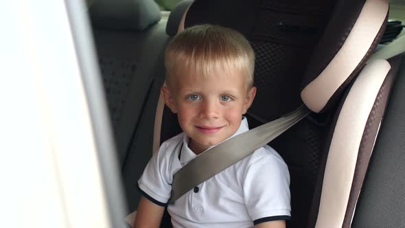 Portrait of Cheerful Laughing Boy in a Children's Car Seat During a Summer Trip